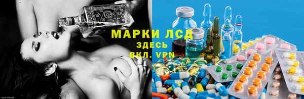 спиды Аркадак