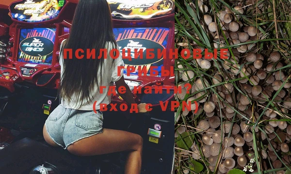 спиды Аркадак