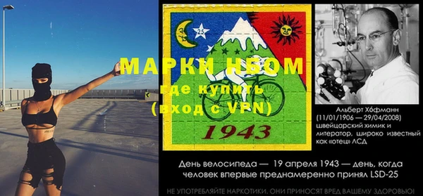 спиды Аркадак