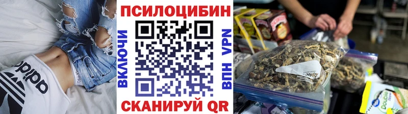 Галлюциногенные грибы мицелий  Купить  Углегорск 